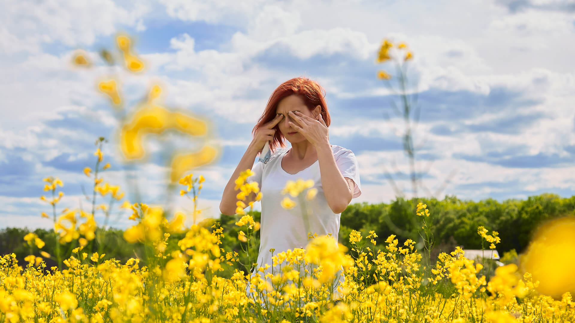 Hay fever feature